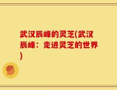 武汉辰峰的灵芝(武汉辰峰：走进灵芝的世界)
