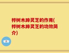 桦树木蹄灵芝的作用(桦树木蹄灵芝的功效简介)