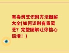 有毒灵芝识别方法图解大全(如何识别有毒灵芝？完整图解让你信心倍增！)