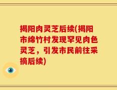 揭阳肉灵芝后续(揭阳市绵竹村发现罕见肉色灵芝，引发市民前往采摘后续)