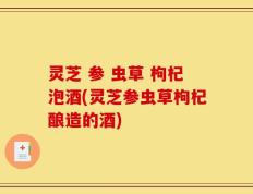 灵芝 参 虫草 枸杞泡酒(灵芝参虫草枸杞酿造的酒)