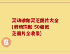 灵动瑜伽灵芝图片大全(灵动瑜伽 50张灵芝图片全收录)
