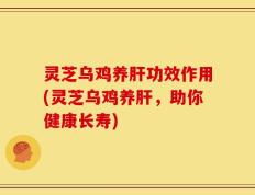 灵芝乌鸡养肝功效作用(灵芝乌鸡养肝，助你健康长寿)