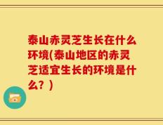 泰山赤灵芝生长在什么环境(泰山地区的赤灵芝适宜生长的环境是什么？)