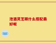 泡酒灵芝跟什么搭配最好呢