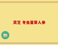 灵芝 冬虫夏草人参