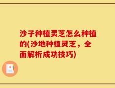 沙子种植灵芝怎么种植的(沙地种植灵芝，全面解析成功技巧)