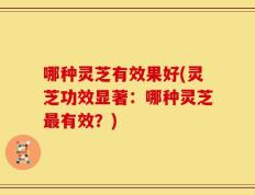 哪种灵芝有效果好(灵芝功效显著：哪种灵芝最有效？)