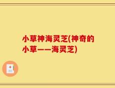 小草神海灵芝(神奇的小草——海灵芝)