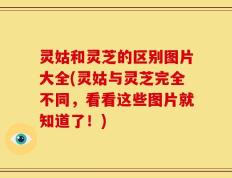 灵姑和灵芝的区别图片大全(灵姑与灵芝完全不同，看看这些图片就知道了！)