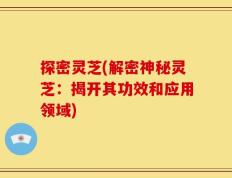 探密灵芝(解密神秘灵芝：揭开其功效和应用领域)