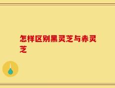 怎样区别黑灵芝与赤灵芝