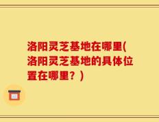 洛阳灵芝基地在哪里(洛阳灵芝基地的具体位置在哪里？)