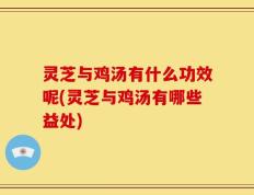 灵芝与鸡汤有什么功效呢(灵芝与鸡汤有哪些益处)