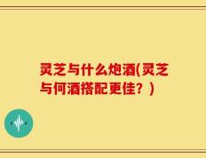灵芝与什么炮酒(灵芝与何酒搭配更佳？)