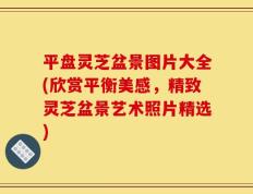 平盘灵芝盆景图片大全(欣赏平衡美感，精致灵芝盆景艺术照片精选)
