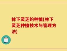 林下灵芝的种植(林下灵芝种植技术与管理方法)