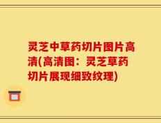 灵芝中草药切片图片高清(高清图：灵芝草药切片展现细致纹理)