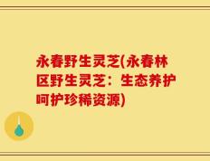 永春野生灵芝(永春林区野生灵芝：生态养护呵护珍稀资源)
