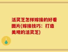 活灵芝怎样嫁接的好看图片(嫁接技巧：打造美观的活灵芝)