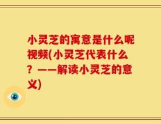 小灵芝的寓意是什么呢视频(小灵芝代表什么？——解读小灵芝的意义)
