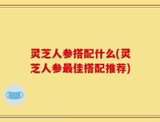 灵芝人参搭配什么(灵芝人参最佳搭配推荐)
