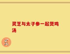 灵芝与太子参一起煲鸡汤