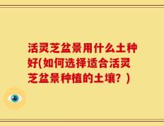 活灵芝盆景用什么土种好(如何选择适合活灵芝盆景种植的土壤？)