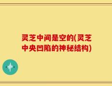 灵芝中间是空的(灵芝中央凹陷的神秘结构)