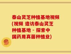 泰山灵芝种植基地视频(视频 造访泰山灵芝种植基地 - 探索中国药用真菌种植业)