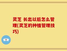 灵芝 长出以后怎么管理(灵芝的种植管理技巧)