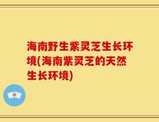 海南野生紫灵芝生长环境(海南紫灵芝的天然生长环境)