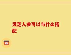 灵芝人参可以与什么搭配