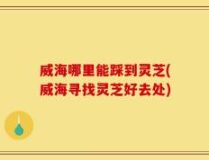 威海哪里能踩到灵芝(威海寻找灵芝好去处)