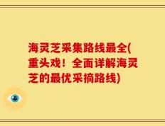海灵芝采集路线最全(重头戏！全面详解海灵芝的最优采摘路线)