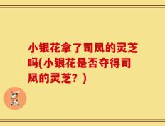 小银花拿了司凤的灵芝吗(小银花是否夺得司凤的灵芝？)