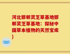 河北邯郸灵芝草基地邯郸灵芝草基地：探秘中国草本植物的天然宝库)