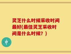 灵芝什么时候采收时间最好(最佳灵芝采收时间是什么时候？)