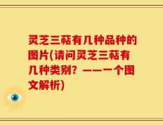 灵芝三萜有几种品种的图片(请问灵芝三萜有几种类别？——一个图文解析)