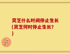 灵芝什么时间停止生长(灵芝何时停止生长？)