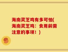 海南灵芝鸡有多可怕(海南灵芝鸡：食用前需注意的事项！)