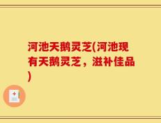 河池天鹅灵芝(河池现有天鹅灵芝，滋补佳品)