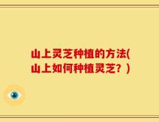 山上灵芝种植的方法(山上如何种植灵芝？)