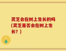 灵芝会在树上生长的吗(灵芝是否会在树上生长？)