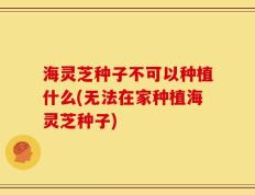 海灵芝种子不可以种植什么(无法在家种植海灵芝种子)