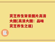灵芝养生背景图片高清大图(高清大图：品味灵芝养生之道)