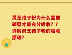 灵芝孢子粉为什么需要破壁才能充分吸收？？详解灵芝孢子粉的吸收原理？