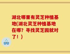 湖北哪里有灵芝种植基地(湖北灵芝种植基地在哪？寻找灵芝园就对了！)