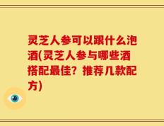 灵芝人参可以跟什么泡酒(灵芝人参与哪些酒搭配最佳？推荐几款配方)