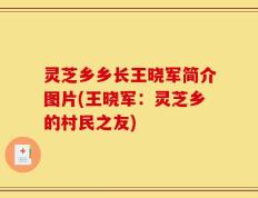 灵芝乡乡长王晓军简介图片(王晓军：灵芝乡的村民之友)